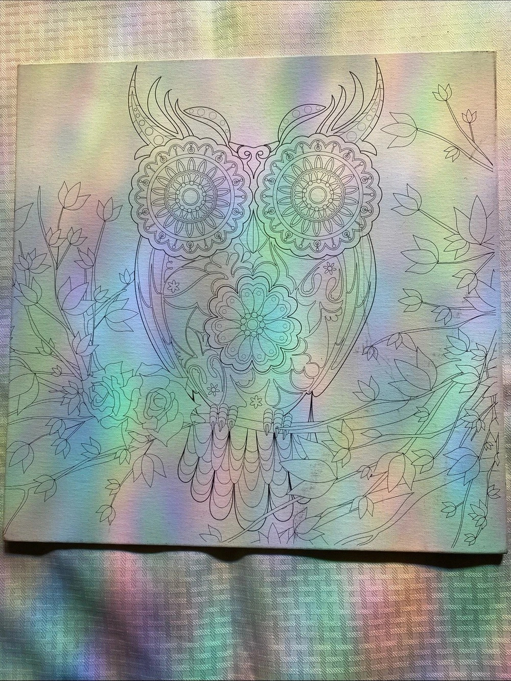 Owl Floral Art Print Blue Pink